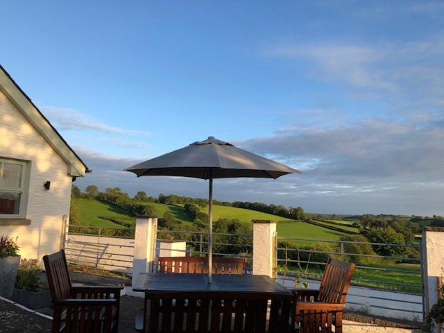 Red Kite Cottage Carmarthen Exterior photo